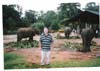 Nick Edwards with elephants