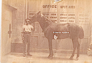 Photo (reversed) of office in Malta of BI agent